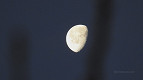 Qual a fase da Lua hoje (22); veja o calendário lunar de maio Qual a fase da Lua hoje (22); veja o calendário lunar de maio