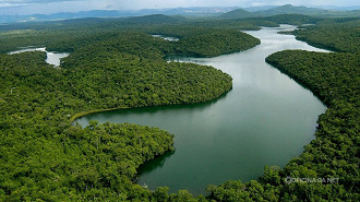 Hoje é o Dia Nacional da Mata Atlântica Hoje é o Dia Nacional da Mata Atlântica