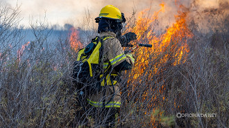 2 de junho é o Dia Nacional do Bombeiro Florestal 2 de junho é o Dia Nacional do Bombeiro Florestal