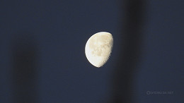 Qual a fase da Lua hoje (06/06): veja o ciclo lunar completo de junho