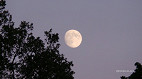 Qual a fase da Lua hoje (09/06): veja o ciclo lunar completo de junho