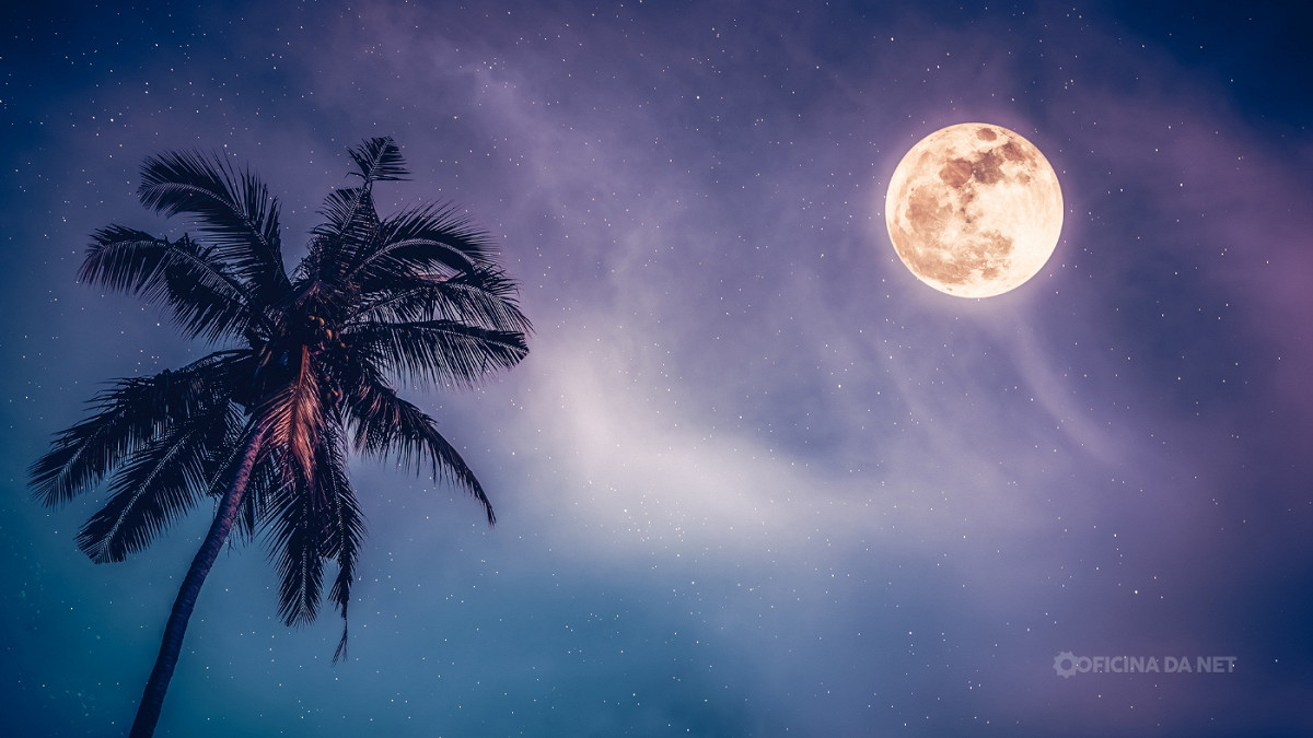 Veja como está a Lua hoje. Imagem: Oficina da Net