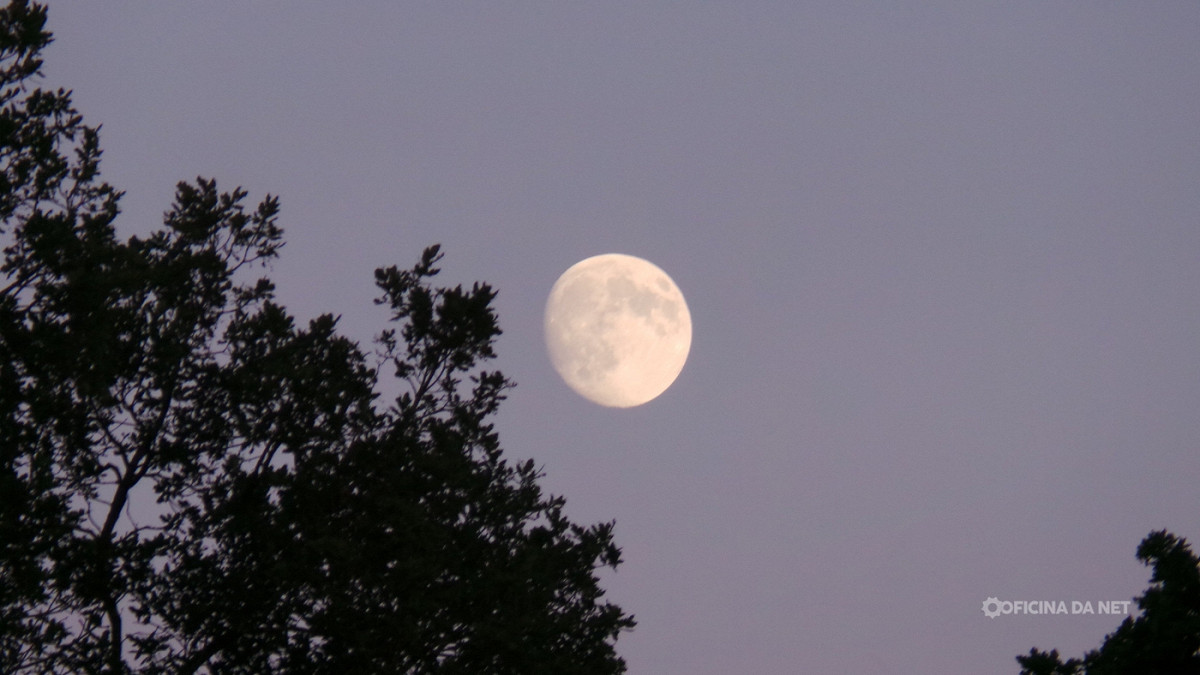 Veja como está a Lua hoje. Imagem: Oficina da Net