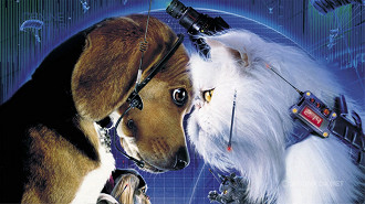 Cats & Dogs Cats & Dogs