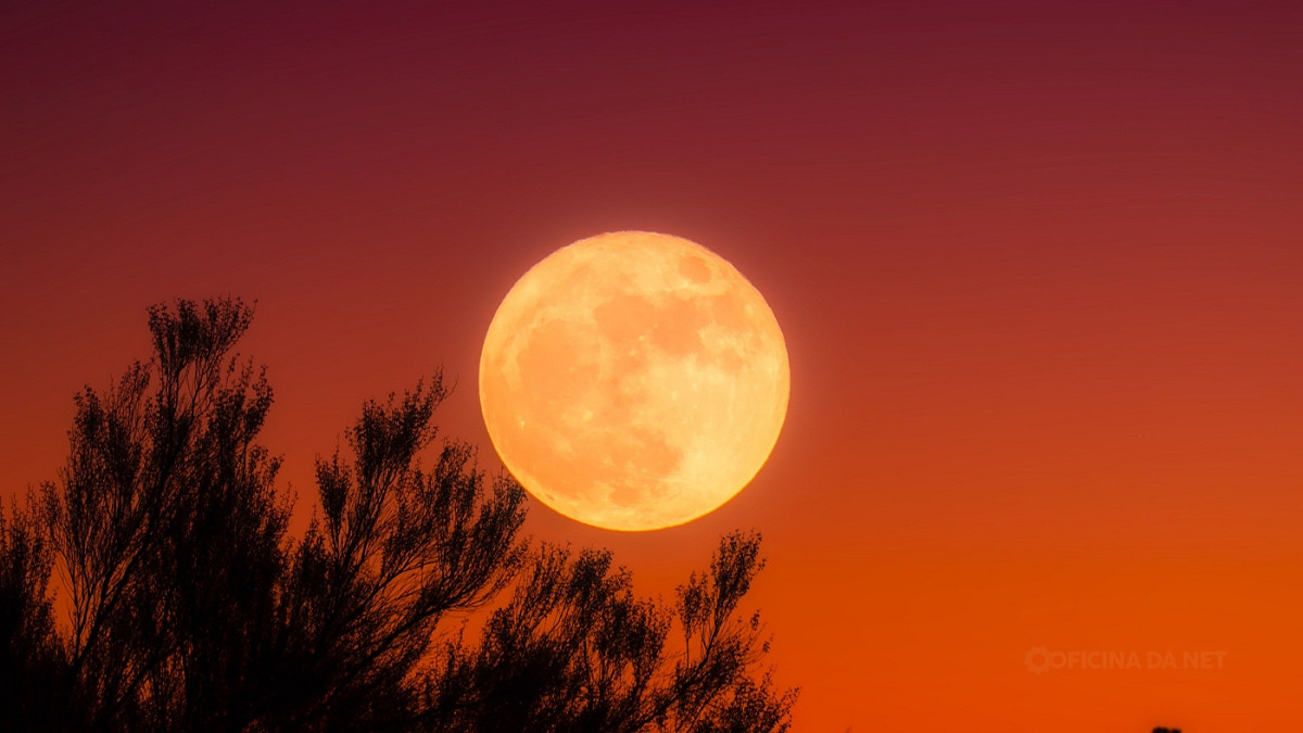 Veja como está a Lua hoje. Imagem: Oficina da Net