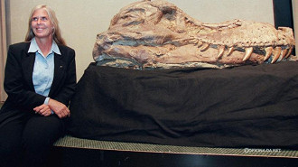 Sue Hendrickson Sue Hendrickson