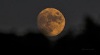Qual a fase da Lua hoje (13/08)? Veja visibilidade e calendário lunar de agosto