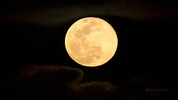 Último dia da Lua Cheia de agosto é hoje (15); veja a próxima fase e mudanças Último dia da Lua Cheia de agosto é hoje (15); veja a próxima fase e mudanças