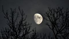 Como está a Lua neste domingo (17)? Veja o ciclo lunar completo de agosto