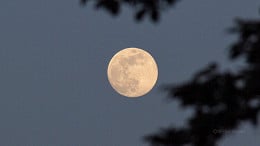 Últimos dias da Lua Cheia de setembro; veja o ciclo lunar completo