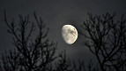 Hoje tem Lua Minguante: veja como está a Lua nesta terça (16) e quando muda
