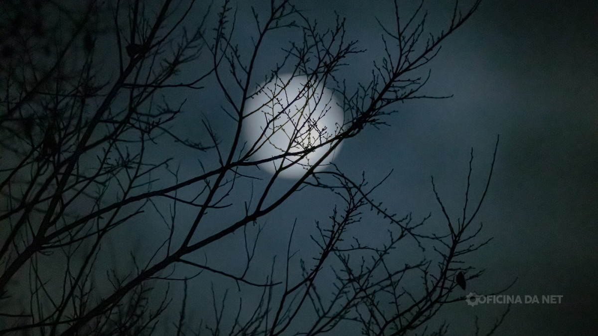 Qual a fase da lua de hoje (20)