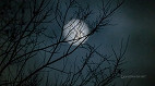 Último dia da Lua Minguante de setembro é hoje (20); entenda o que muda