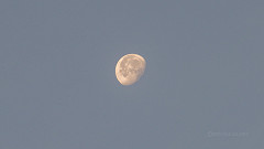 Como está a Lua hoje (30/09)? Veja as mudanças do ciclo lunar de outubro