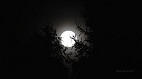 Qual a fase da Lua deste domingo (05/10): veja o calendário lunar de outubro