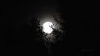 Qual a fase da Lua deste domingo (05/10): veja o calendário lunar de outubro Qual a fase da Lua deste domingo (05/10): veja o calendário lunar de outubro