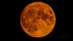 Hoje é dia de Superlua Cheia; entenda a fase desta terça (7) e como observar Hoje é dia de Superlua Cheia; entenda a fase desta terça (7) e como observar