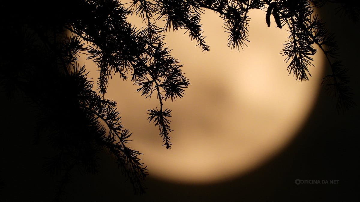Qual a fase da Lua nesta sexta, 10 de outubro de 2025. Imagem: Oficina da Net