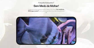 OPPO Reno14 faz fotos subaquaticas OPPO Reno14 faz fotos subaquaticas