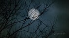 Lua muda de fase hoje (21): entenda o ciclo lunar de outubro