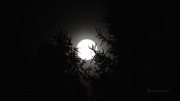 Qual a fase da Lua hoje (22/10): entenda o ciclo lunar de outubro Qual a fase da Lua hoje (22/10): entenda o ciclo lunar de outubro