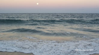A fase da Lua impacta diretamente na maré e no comportamento de alguns animais A fase da Lua impacta diretamente na maré e no comportamento de alguns animais
