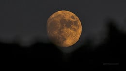Último dia de outubro tem Lua quase Cheia; entenda a fase de hoje (31/10) Último dia de outubro tem Lua quase Cheia; entenda a fase de hoje (31/10)