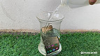 Galaxy S24 aparece baratíssimo com cupom histórico de R$ 450 Galaxy S24 aparece baratíssimo com cupom histórico de R$ 450