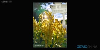 Foto tirada com o Xiaomi 17 Pro Max (Imagem: Reprodução/Gizmochina)