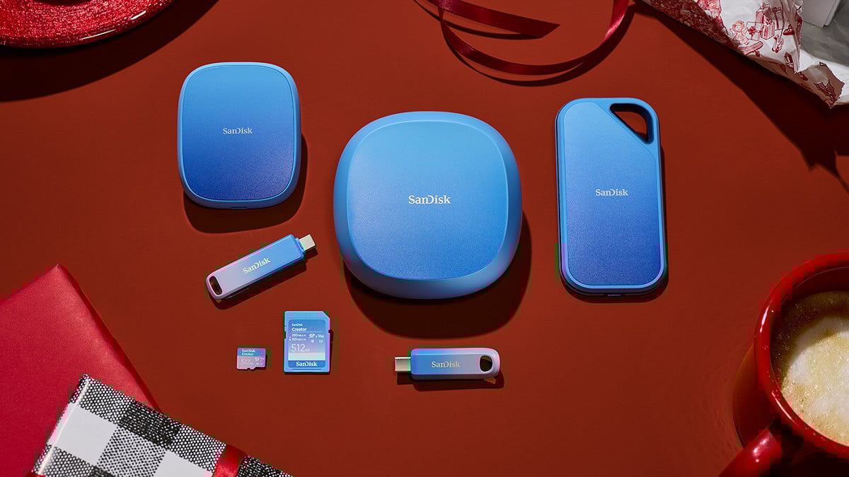 A importância dos backups 