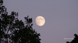 Qual a fase da Lua hoje: quinta-feira, 8 de janeiro Qual a fase da Lua hoje: quinta-feira, 8 de janeiro