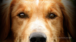 Sessão da Tarde hoje: qual filme vai passar na Globo nesta terça, 13 de janeiro Sessão da Tarde hoje: qual filme vai passar na Globo nesta terça, 13 de janeiro