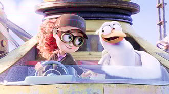 Cegonhas: A História que Não te Contaram