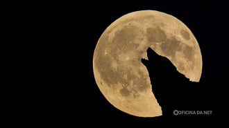 Lua do Lobo