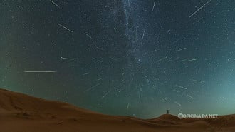 Perseids