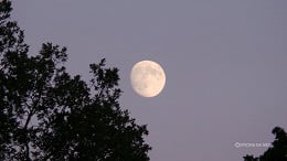 Qual a fase da Lua hoje: sábado, 28 de fevereiro de 2026