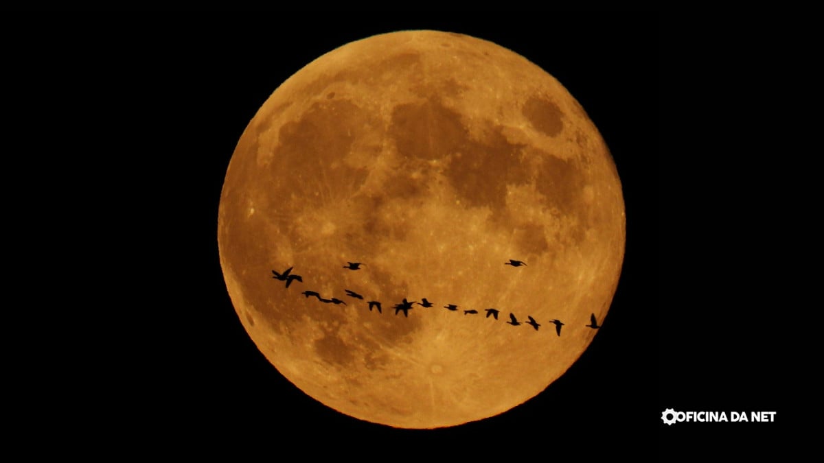 Qual a fase da Lua nesta sexta-feira, 6 de março de 2026. Imagem: Oficina da Net