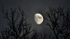 Lua muda de fase nesta quarta (18): veja o ciclo lunar completo de março