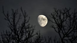 Lua muda de fase nesta quarta (18): veja o ciclo lunar completo de março