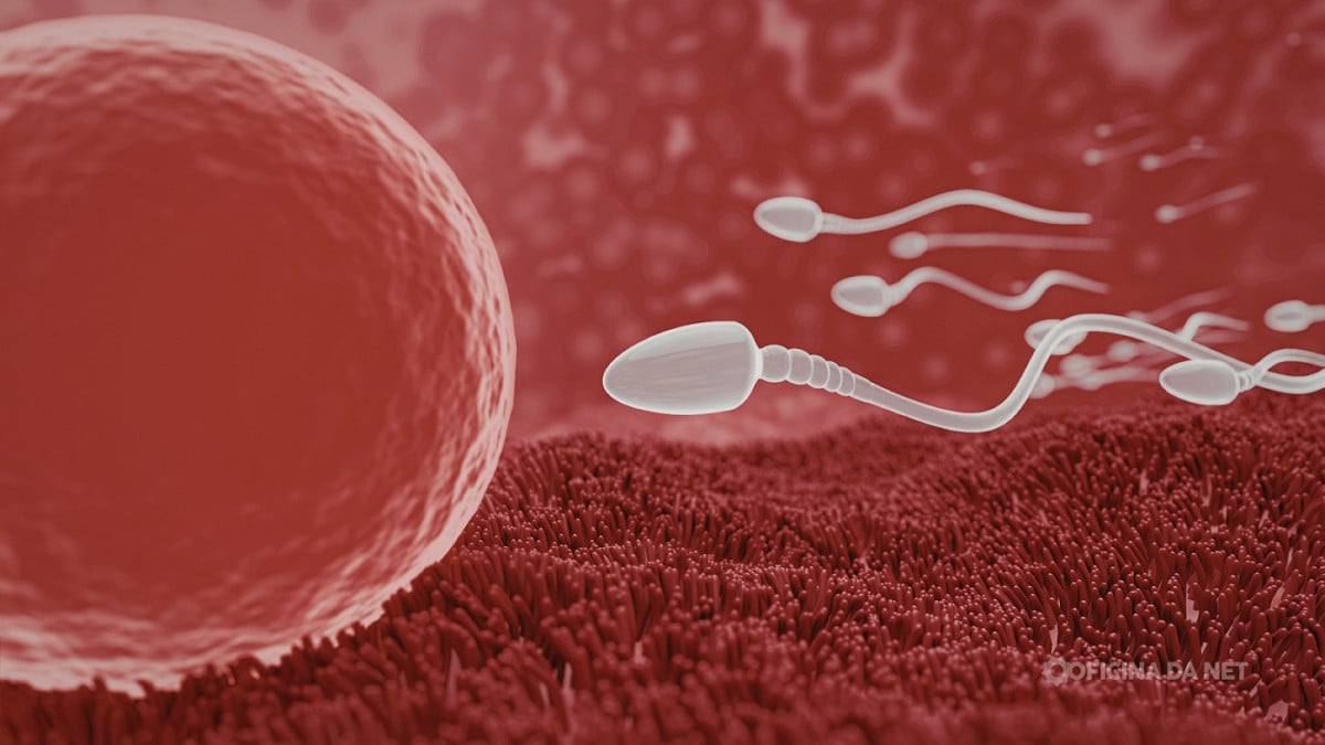 Cientistas criam anticoncepcional masculino que pausa a fertilidade sem hormônios