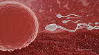 Cientistas descobrem anticoncepcional masculino que “pausa” fertilidade