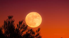 Qual a fase da Lua hoje: sábado, 2 de maio de 2026 Qual a fase da Lua hoje: sábado, 2 de maio de 2026