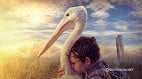 Sessão da Tarde: qual filme vai passar na Globo hoje, 14 de maio?