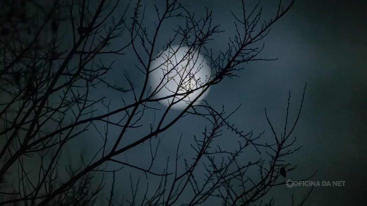 Qual a fase da Lua neste domingo, 17 de maio de 2026. Imagem: Oficina da Net