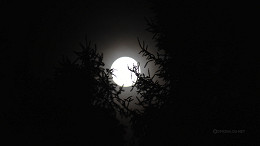 Fase da Lua hoje: quinta-feira, 28 de maio de 2026 Fase da Lua hoje: quinta-feira, 28 de maio de 2026