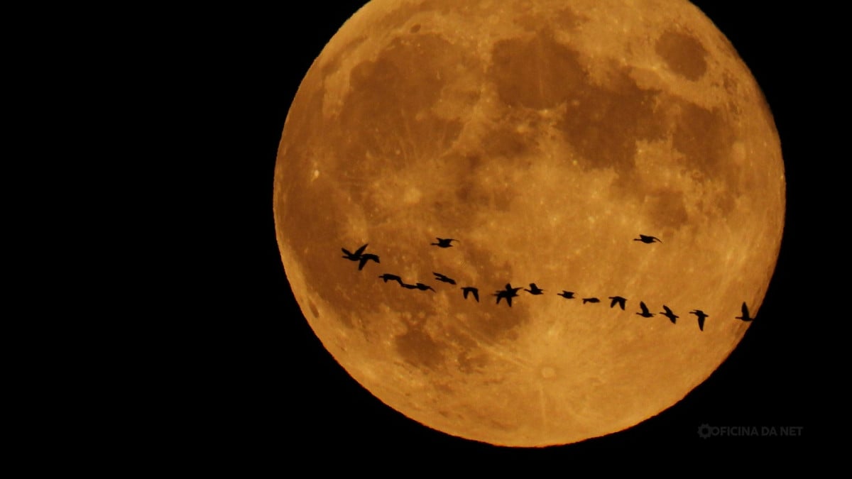 Qual a fase da Lua nesta quinta, 2 de julho de 2026. Imagem: Oficina da Net