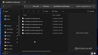 Bug no CapabilityAccessManager.db-wal faz o arquivo crescer em alguns PCs