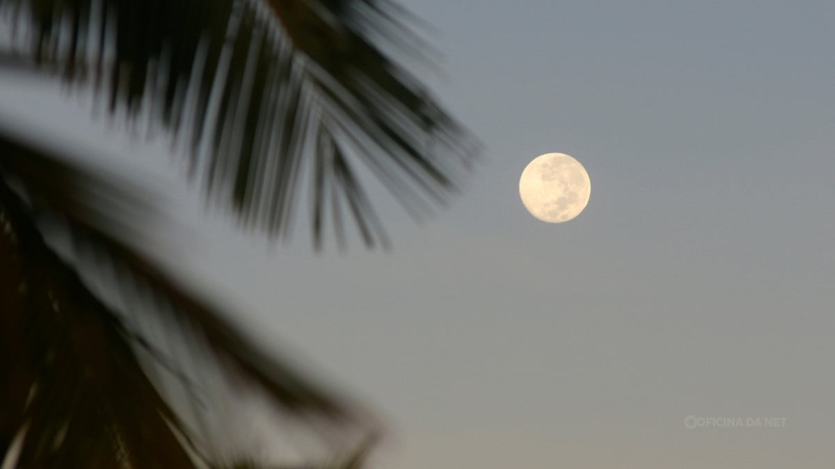 Qual a fase da Lua nesta segunda, 3 de agosto de 2026. Imagem: Oficina da Net