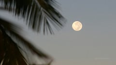 Qual a fase da Lua hoje: segunda-feira, 3 de agosto de 2026 Qual a fase da Lua hoje: segunda-feira, 3 de agosto de 2026