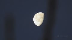 Lua muda de fase nesta quarta-feira (05); veja o que esperar Lua muda de fase nesta quarta-feira (05); veja o que esperar